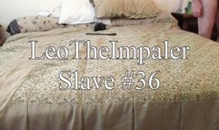 (non-HD) Slave #36 - Hardcore Fucking and Paddling, Angle 3 of 3 (Not complete)