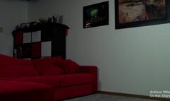 Your Only Job Is To Smell Up My Gas And Lick My Ass Clean