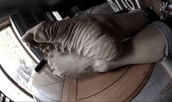 Feeding Myself - Full Movie