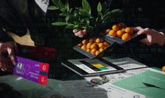 Data Desires: Your Secrets Sold