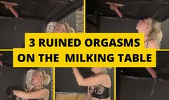 3 ruined orgasms on the milking table
