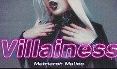 The Villainess