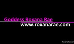 Roxy's Panty Wearing Sissy