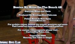 Beaten By Milos On The Bench 4K
