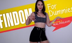 Findom For Dummies