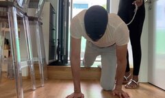 Goddess Annabelle stands on her slave face