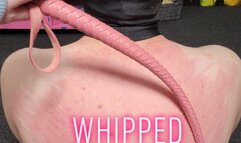 Whipped Bitch