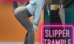 Soft & Fuzzy Slipper Trample