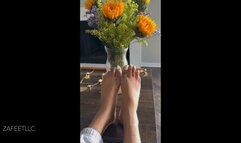 "Yellow Tips N Sunflowers"