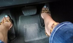 SEXY PEDAL PUMPING: Hard Driving in Lexus RX 350