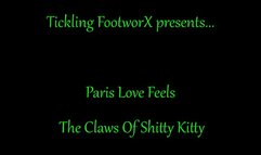 Paris Love Feels The Claws Of Kitty