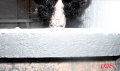 Hunted & Caged Part 5 **MOV**