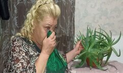 Was treated for a runny nose and got sneezing WMV