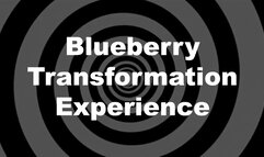 Blueberry Transformation Experience