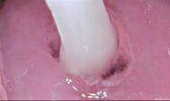 Cervix Penetration Deep Fuck - BTS No Audio