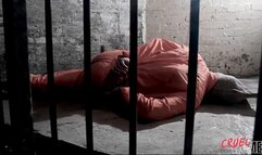 Her Prisoner Part 9 - Interrogation **wmv**