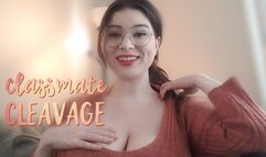 Classmate Cleavage