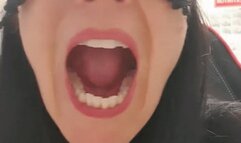 DINNER 010: Meatballs