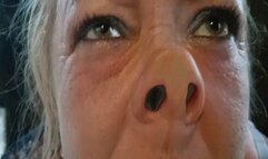 Nose to the door WMV