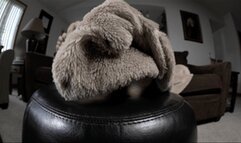 Just Chatting Amongst Ourselves - Full Movie