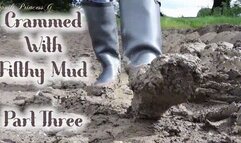 Crammed With Filthy Mud - Part Three