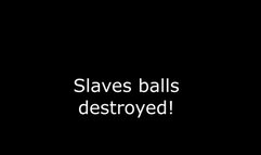 Slaves Balls takes a beating !