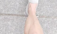 Tempest walks with Mister