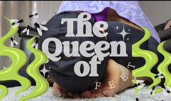 SMOTHERING MY ROOMATE IN STINK SOLES