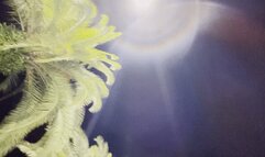 First Day in the pool at the resort