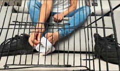 GIANT GABRIEL & THE DARING LITTLE PET SUB