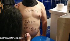 Degradation of Human toilet training by Mistress Antonella