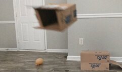 Fat Ass Jiggles and Shakes as Sexy Goddess Stomps on Disgusting Trash 4Ksmaller