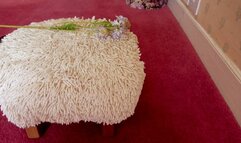 Obedience Training For House Slave