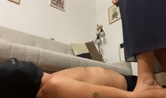 Ariel trampling purple heeled sleepers