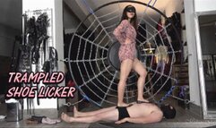MISTRESS GAIA - TRAMPLED SHOE LICKER - HD