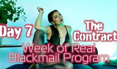 Day 7 The Contract: Week Of Real Blackmail Program Legally Binding Commitment It's Never Over Agreement Official Contract Legal Document MzKim Mistress Kim FemdomPOV