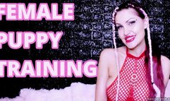 FEMALE PUPPY TRAINING (custom clip)