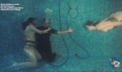 948 Dolly Helen Aoro Breath transfer experiment edited