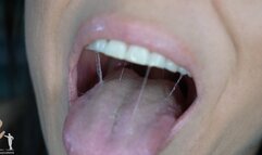 Sinn Sage Mouth Tour - 4K