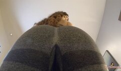 Giantess Crew – Victoria – Mid-Shrink