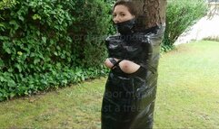 Chloe's first mummification outdoor against a tree!