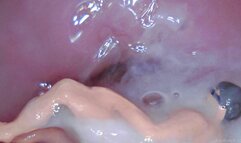 Cervix Cream Covers Tiny Man - BTS