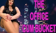 THE OFFICE CUM BUCKET