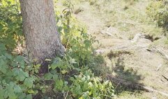 BLOWJOB IN THE MOUNTAINS AT 2000 METERS ALTITUDE