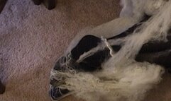 Valentine Surprise - version 2