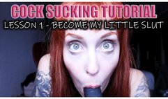 Turning you into a cock-sucking slut