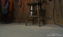 The Leather Riding Mistress