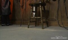 The Leather Riding Mistress - 1080