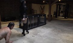 Temptress Raven Eve Demands Boot Worship (WMV HD)