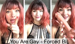 You Are Gay- Imposed Bi